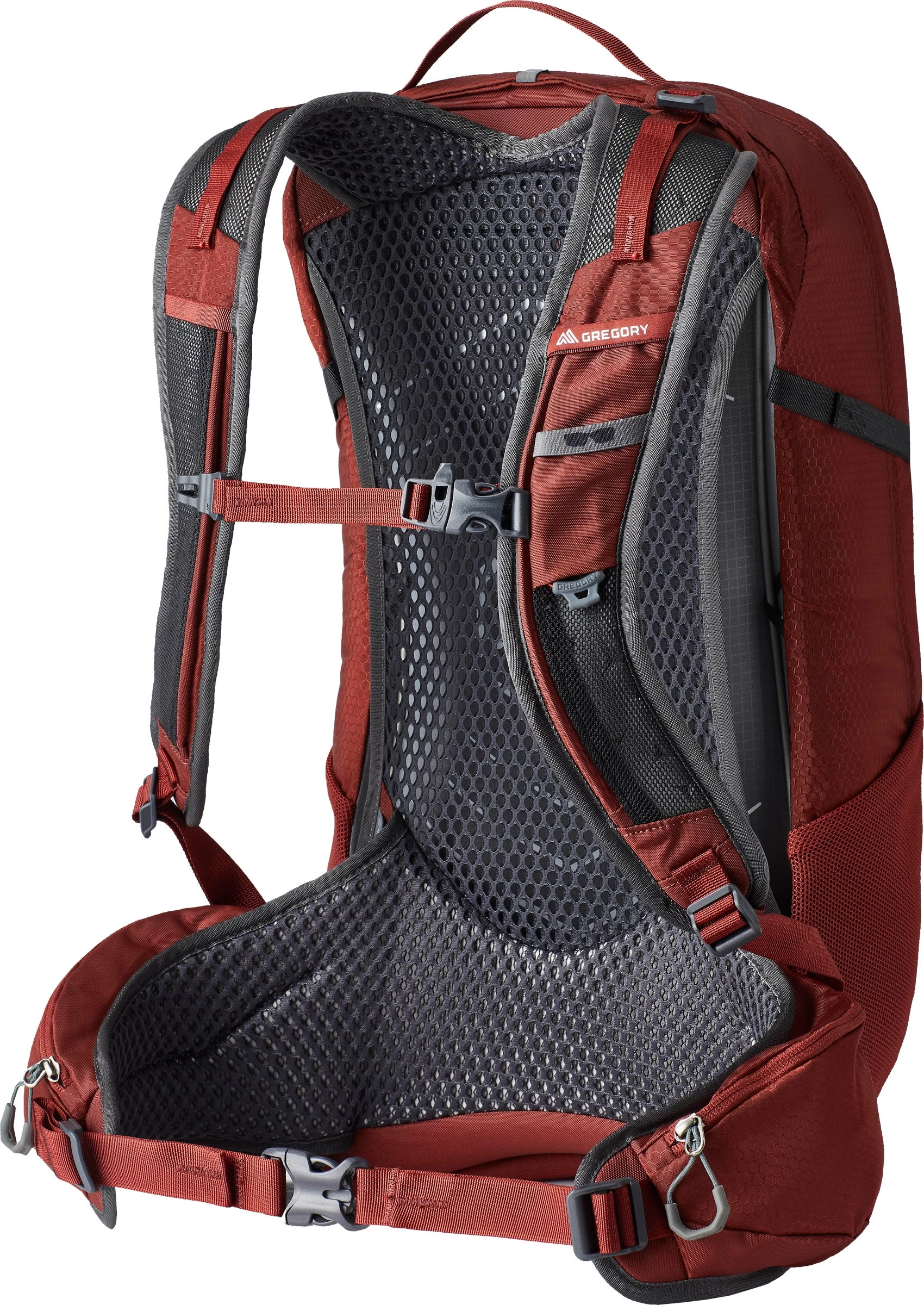 Gregory Citro 24 2 Gregory Citro 24 - Billede 2