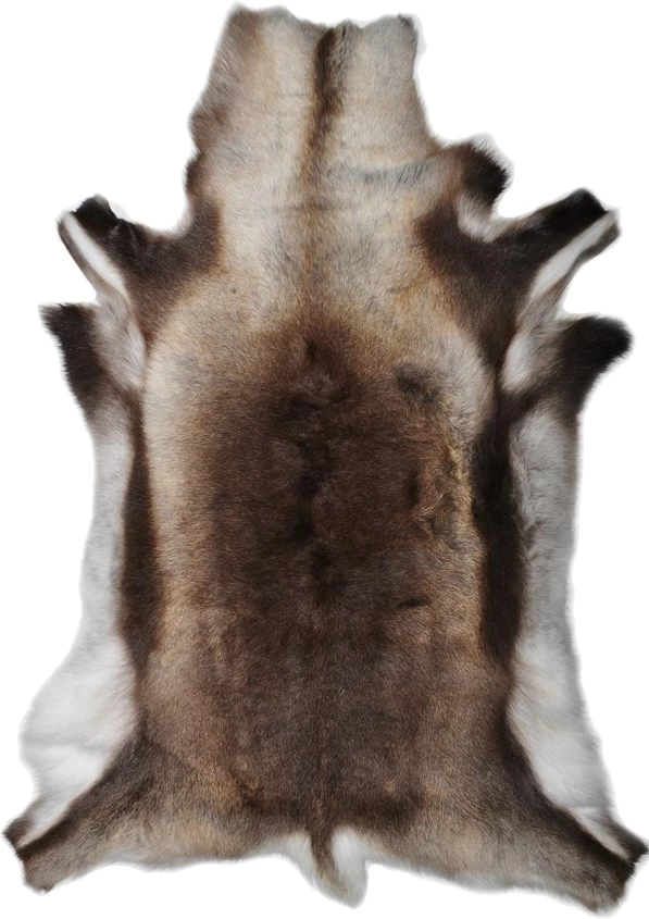 Reindeer Hide Standard 2 Reindeer Hide Standard - Billede 2