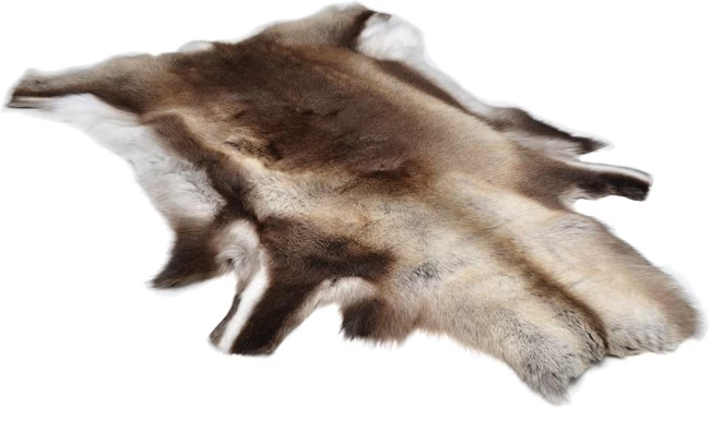 Reindeer Hide Standard 1 Reindeer Hide Standard