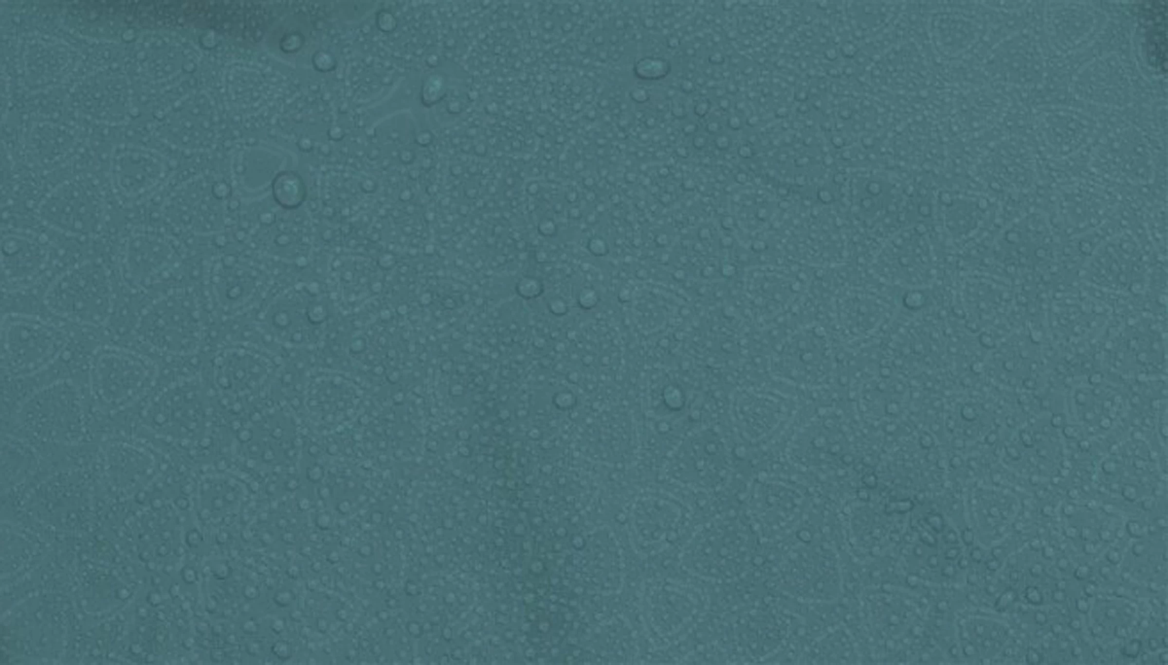 Robens Arch 2 Tent 6 Robens Arch 2 Tent - Billede 6