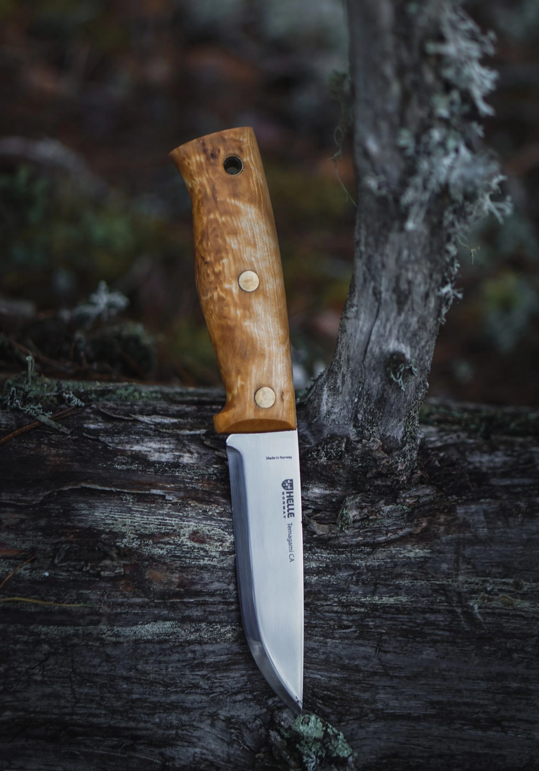 Helle Temagami CA Semi Full Tang Knife 3 Helle Temagami CA Semi Full Tang Knife - Billede 3