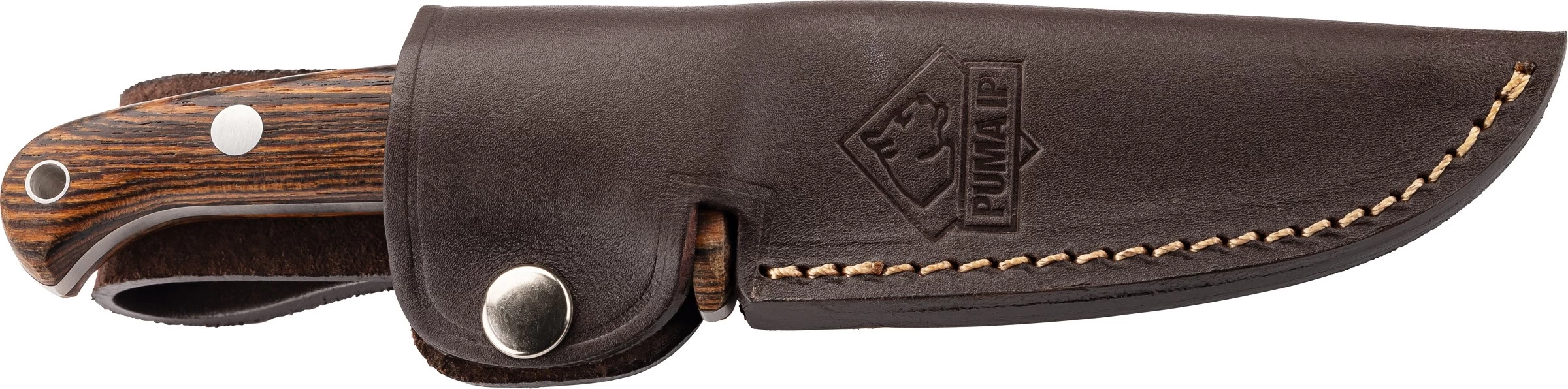 IP Canis Bocote Hunting Knife 2 IP Canis Bocote Hunting Knife - Billede 2