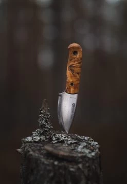 Helle Mândra Full Tang Knife -EventyrSøgerUdstyr 92300129 4