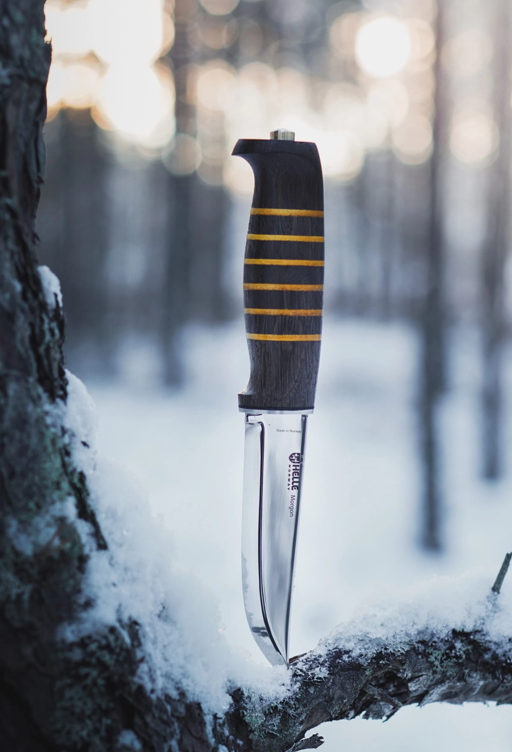 Helle Morgon Classic Knife - 2021 Limited Edition 3 Helle Morgon Classic Knife - 2021 Limited Edition - Billede 3