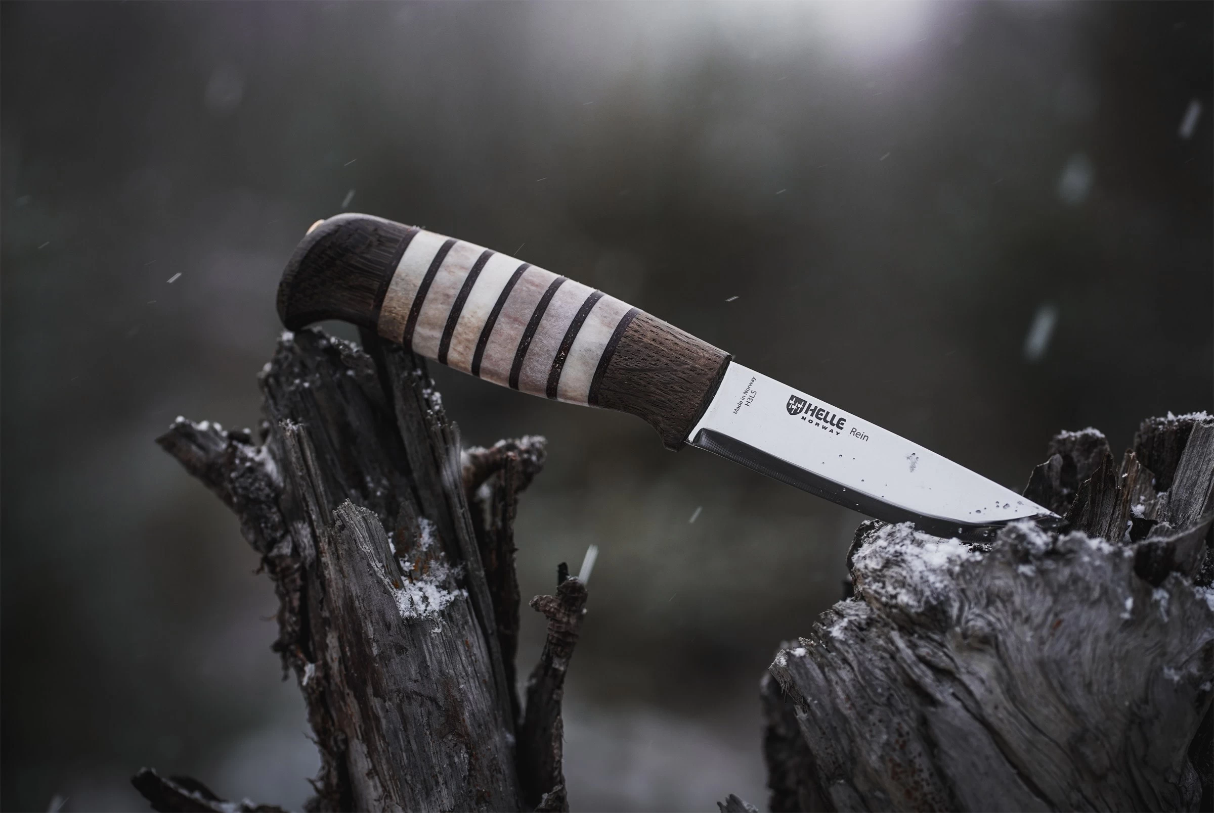 Helle Rein Classic Knife - 2023 Limited Edition 3 Helle Rein Classic Knife - 2023 Limited Edition - Billede 3