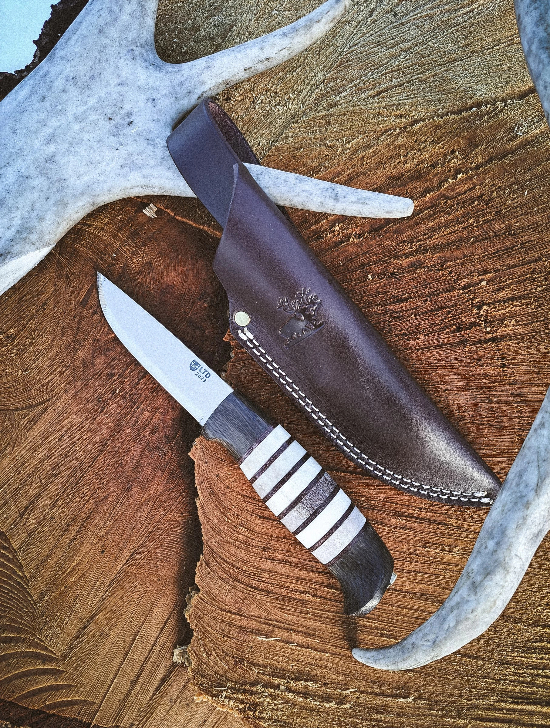 Helle Rein Classic Knife - 2023 Limited Edition 5 Helle Rein Classic Knife - 2023 Limited Edition - Billede 5