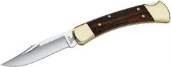 Buck Knives 110 Folding Hunter® Knife